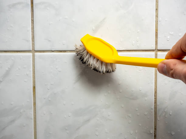 Best Professional Mold Removal  in Oli, PA