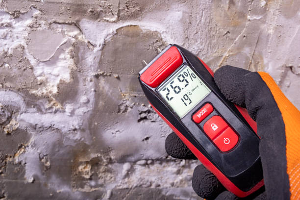 Best Mold Remediation  in Oli, PA
