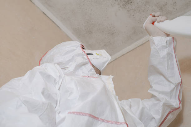 Best Mold Removal Process  in Oli, PA